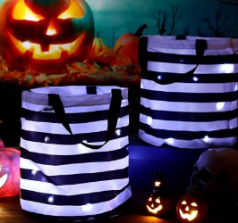 LED Illuminated TRICK-R-TREAT Bag