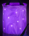 LED Illuminated TRICK-R-TREAT Bag